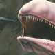 Illustration for article titled The Biggest Mouths in Science Fiction and Fantasy